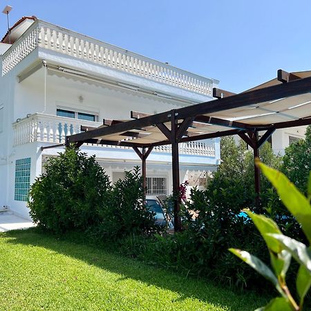 Villa Vave Nea Iraklia Exteriér fotografie